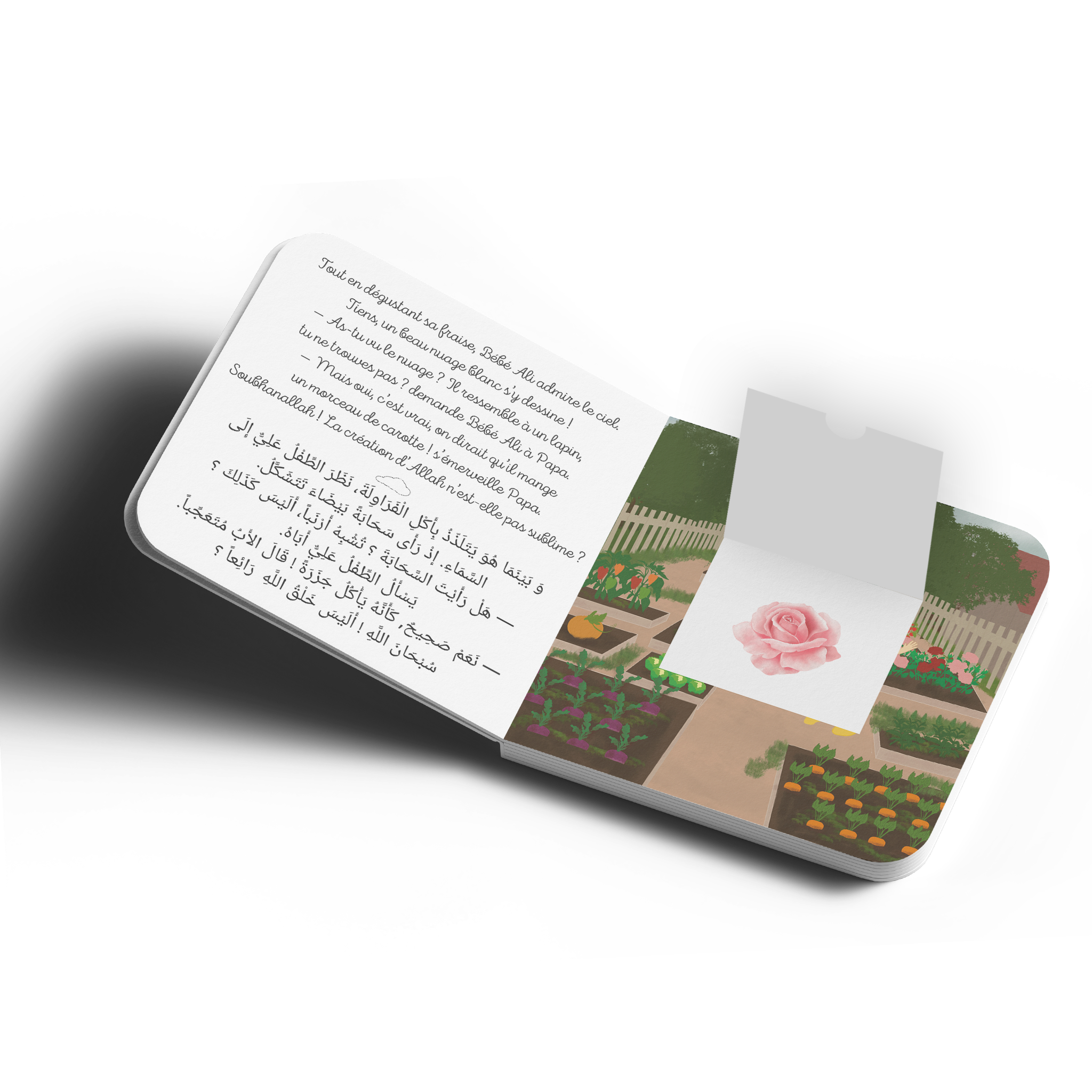 Tome 9 : Bébé Ali à la découverte de la création d'Allah (Livre à odeur)