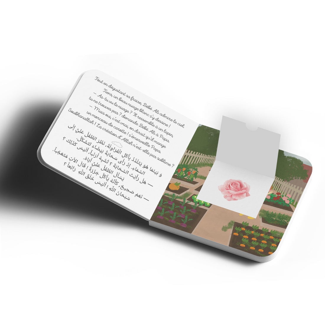 Tome 9 : Bébé Ali à la découverte de la création d'Allah (Livre à odeur)