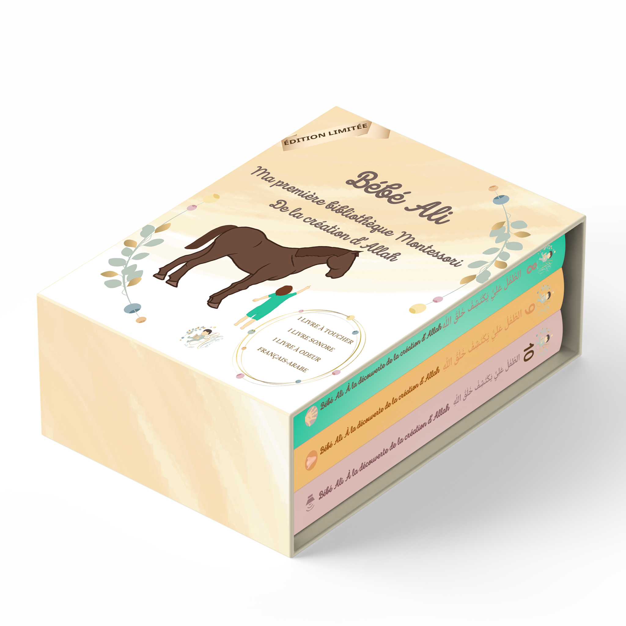 Coffret Création ✨